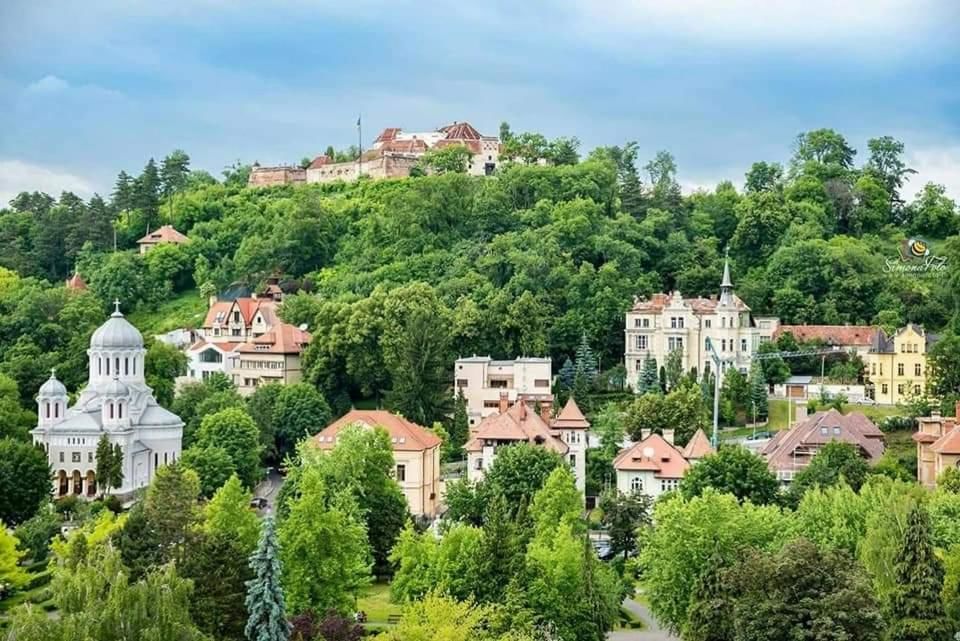 Проживание в семье Central Park View Брашов-11